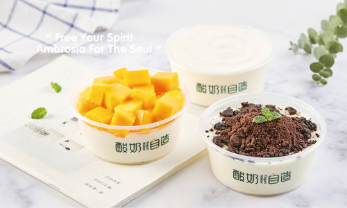 酸奶自造廈門飲品品牌設計